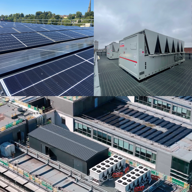 Why Choose SHEco Ltd